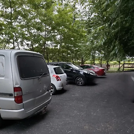 Dream Horse Lejlighed *