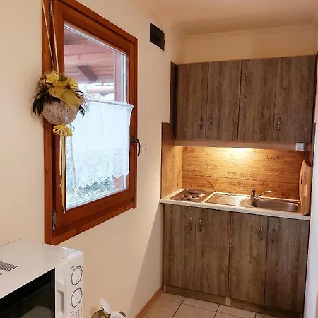 Dream Horse Cserkeszőlő